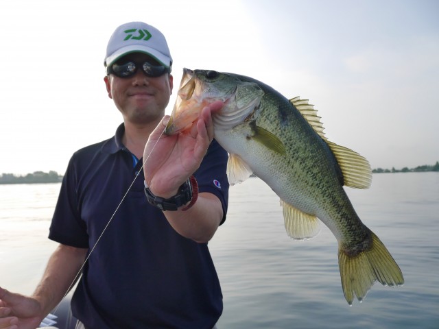 truth hiramura ブログ写真 2016/08/03