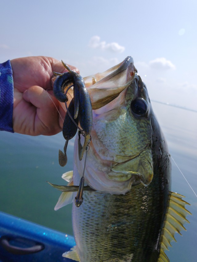 truth hiramura ブログ写真 2016/08/04