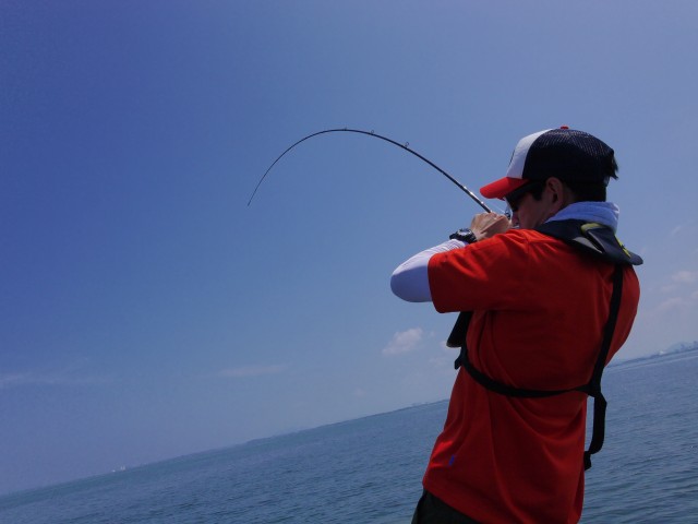 truth hiramura ブログ写真 2016/08/04