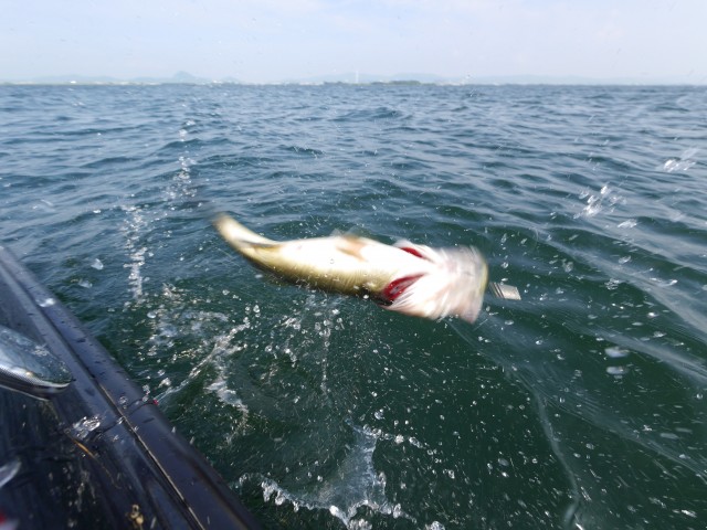 truth hiramura ブログ写真 2016/08/04