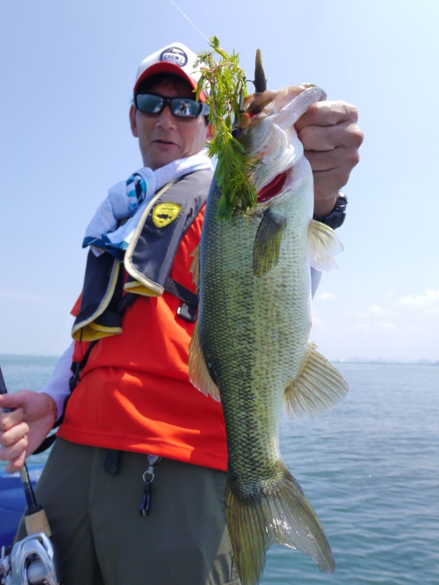 truth hiramura ブログ写真 2016/08/04