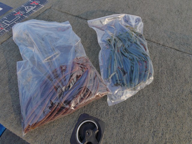 truth hiramura ブログ写真 2016/08/04