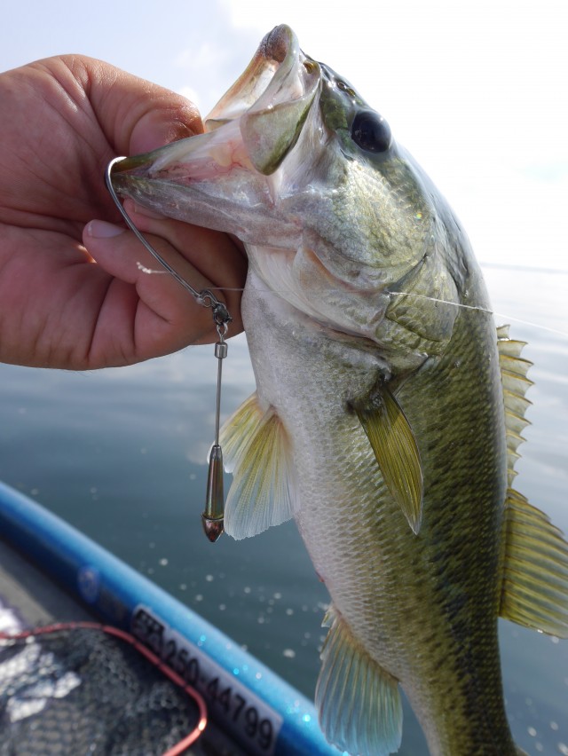 truth hiramura ブログ写真 2016/08/05