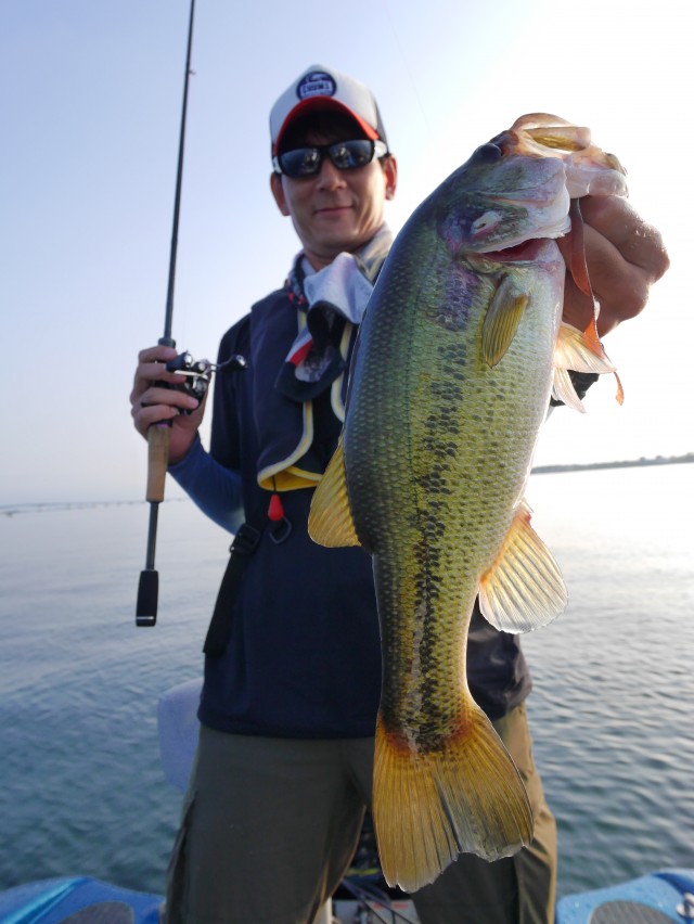 truth hiramura ブログ写真 2016/08/05