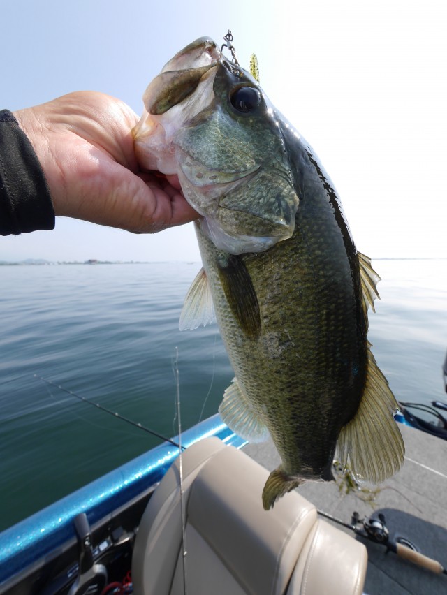 truth hiramura ブログ写真 2016/08/06