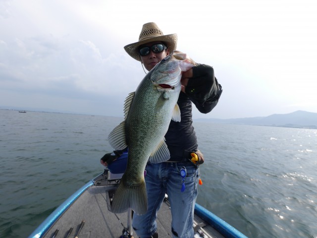 truth hiramura ブログ写真 2016/08/06