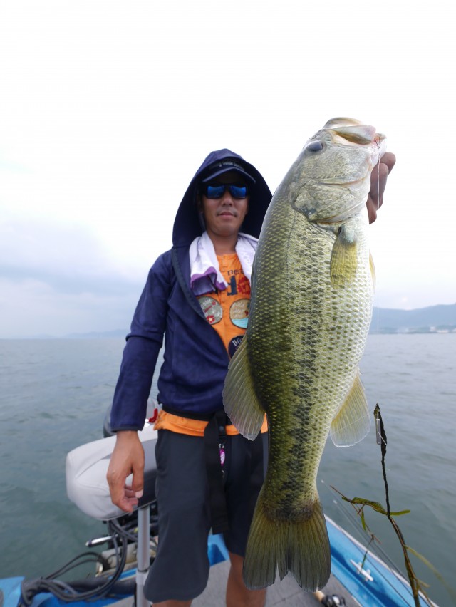 truth hiramura ブログ写真 2016/08/06