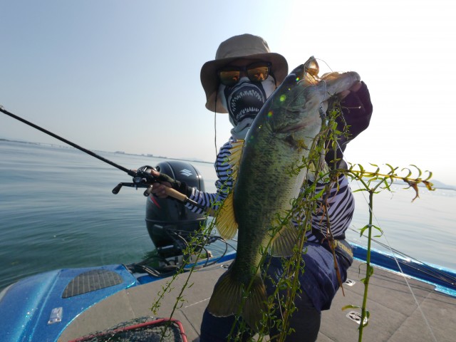 truth hiramura ブログ写真 2016/08/08