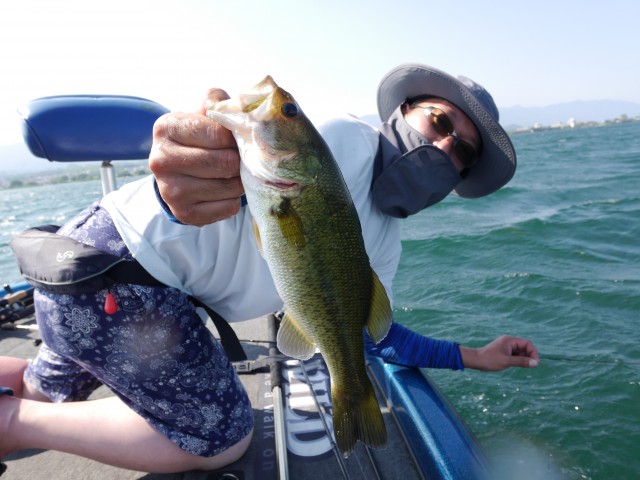 truth hiramura ブログ写真 2016/08/08