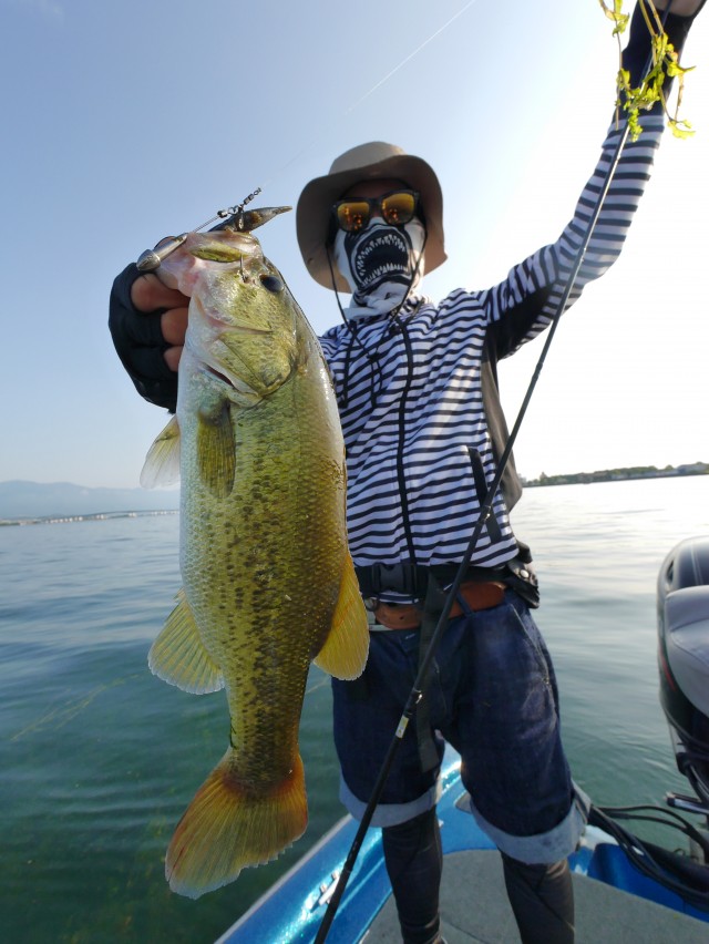 truth hiramura ブログ写真 2016/08/08