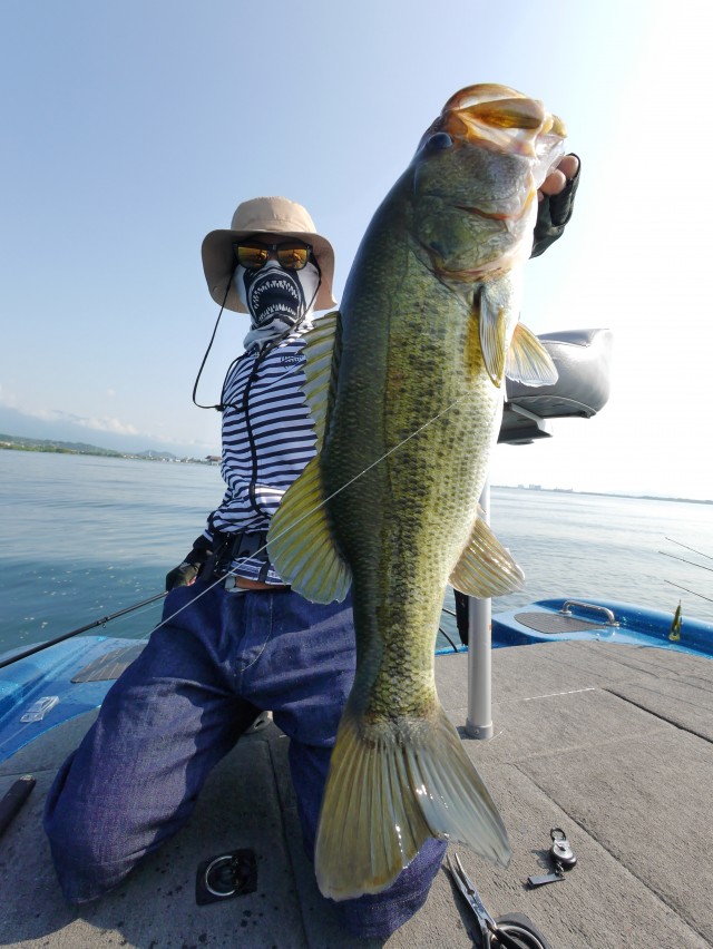 truth hiramura ブログ写真 2016/08/08