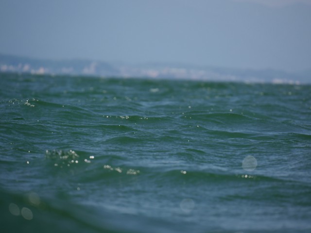 truth hiramura ブログ写真 2016/08/08