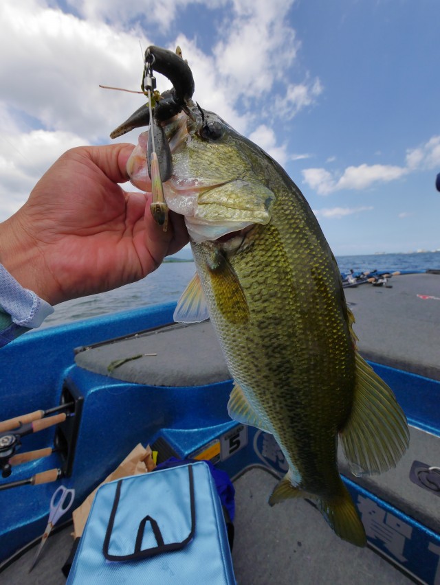 truth hiramura ブログ写真 2016/08/10