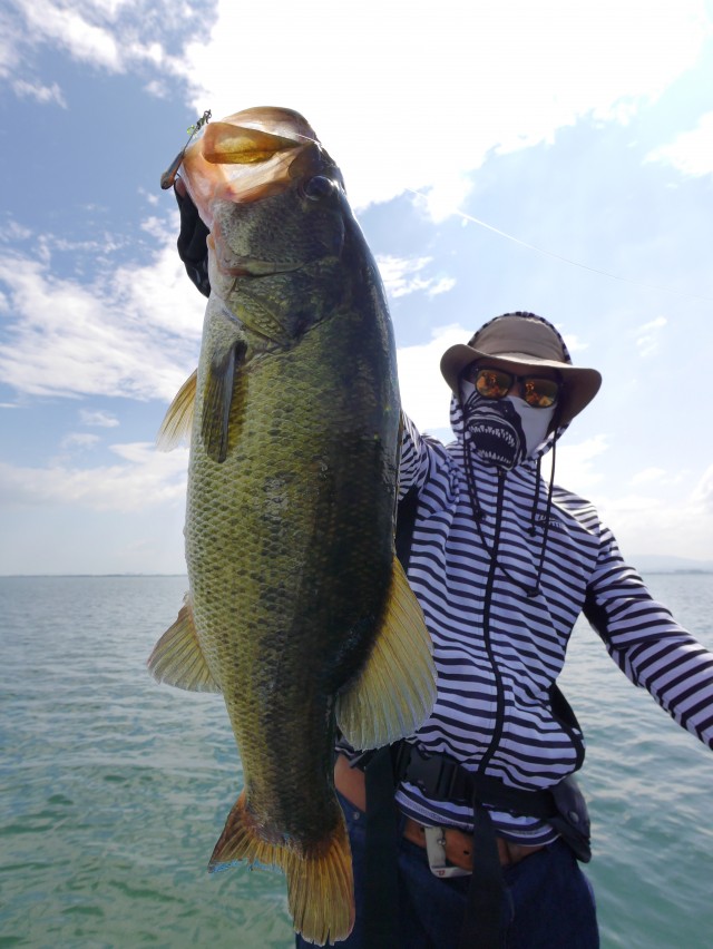 truth hiramura ブログ写真 2016/08/10