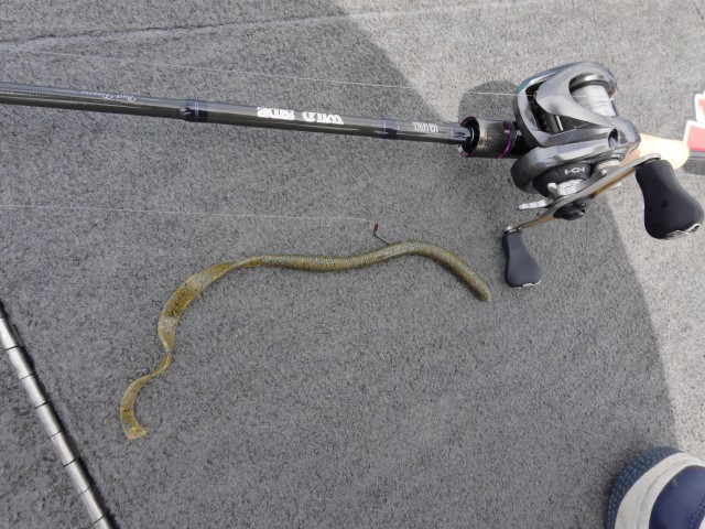 truth hiramura ブログ写真 2016/08/11