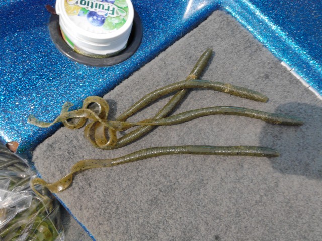 truth hiramura ブログ写真 2016/08/11