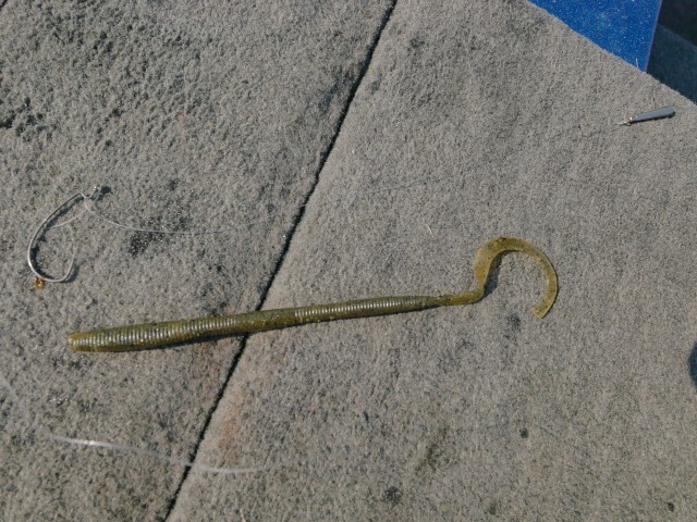 truth hiramura ブログ写真 2016/08/12