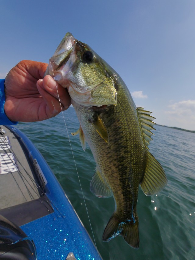 truth hiramura ブログ写真 2016/08/12