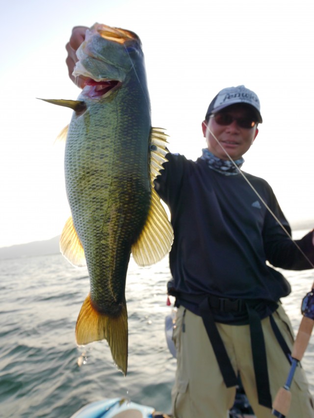 truth hiramura ブログ写真 2016/08/12