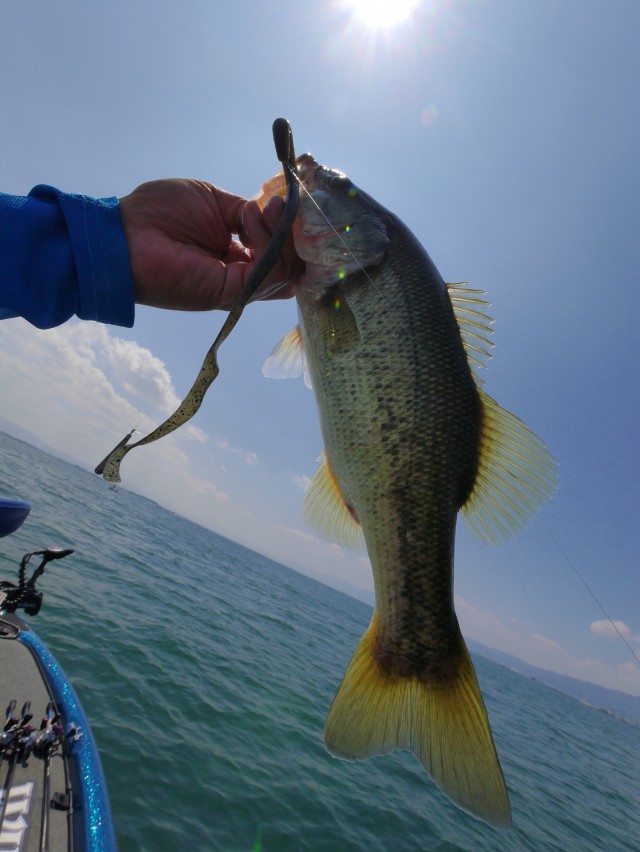 truth hiramura ブログ写真 2016/08/12