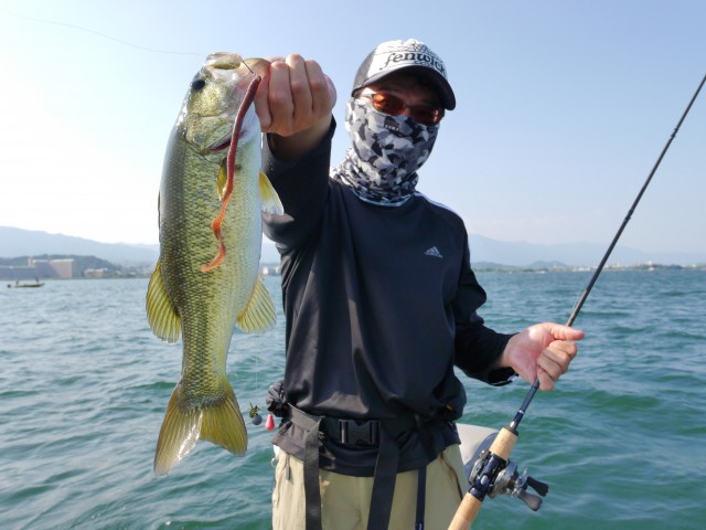 truth hiramura ブログ写真 2016/08/12