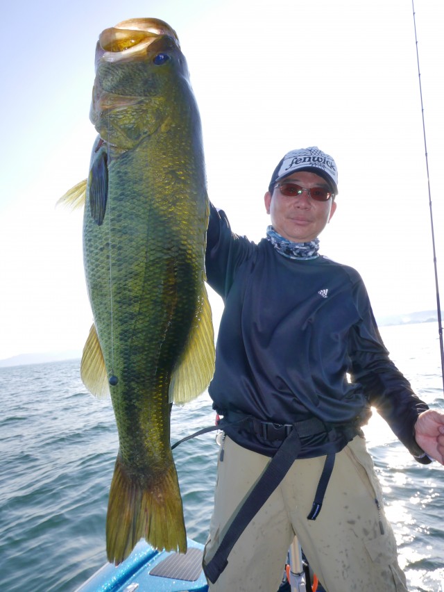 truth hiramura ブログ写真 2016/08/12