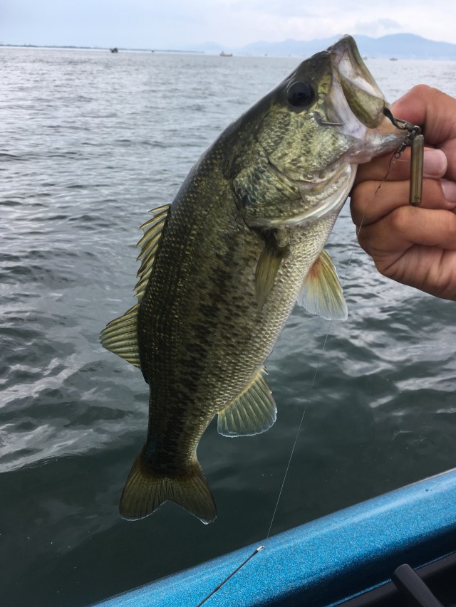 truth hiramura ブログ写真 2016/08/17