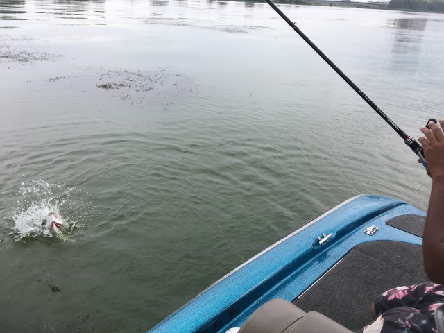 truth hiramura ブログ写真 2016/08/17