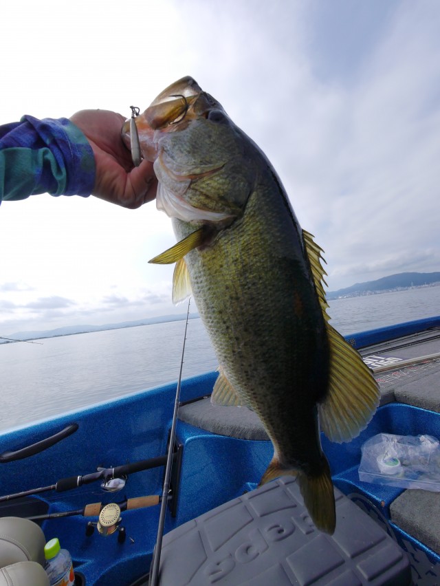 truth hiramura ブログ写真 2016/08/19