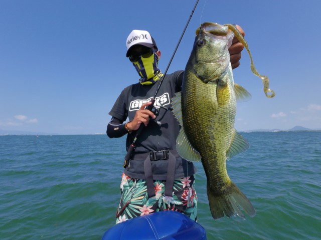 truth hiramura ブログ写真 2016/08/19