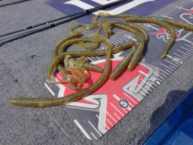 truth hiramura ブログ写真 2016/08/19