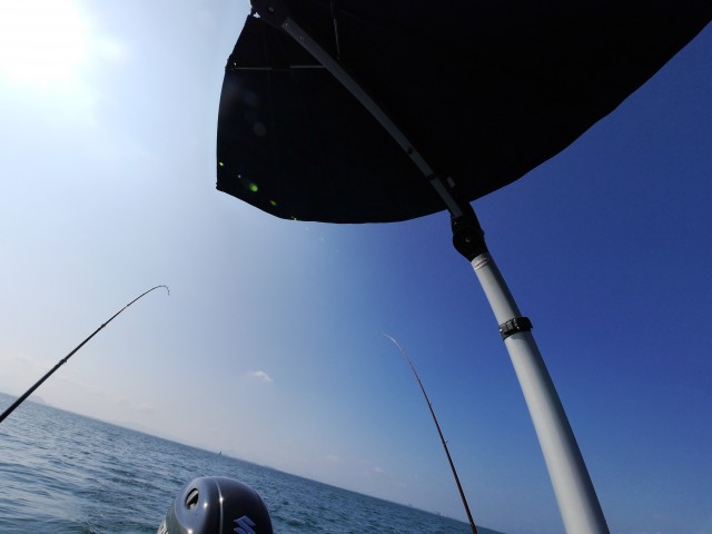 truth hiramura ブログ写真 2016/08/20