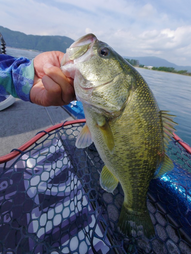 truth hiramura ブログ写真 2016/09/02