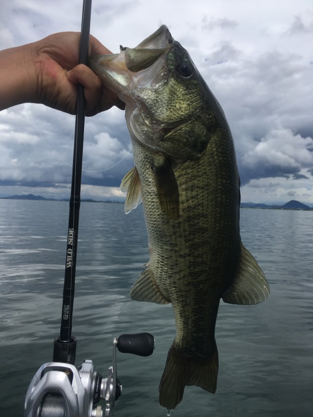 truth hiramura ブログ写真 2016/09/06