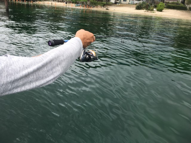 truth hiramura ブログ写真 2016/09/06