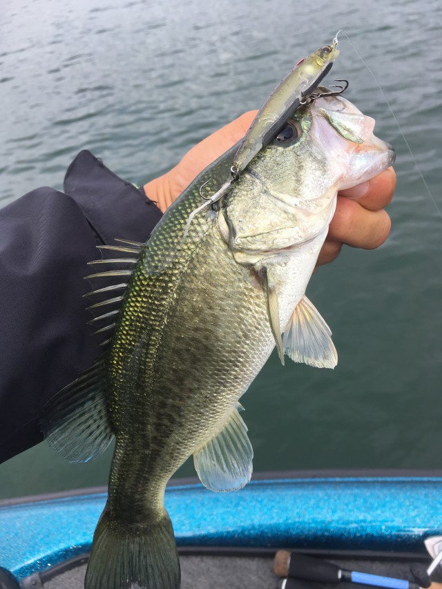 truth hiramura ブログ写真 2016/09/06