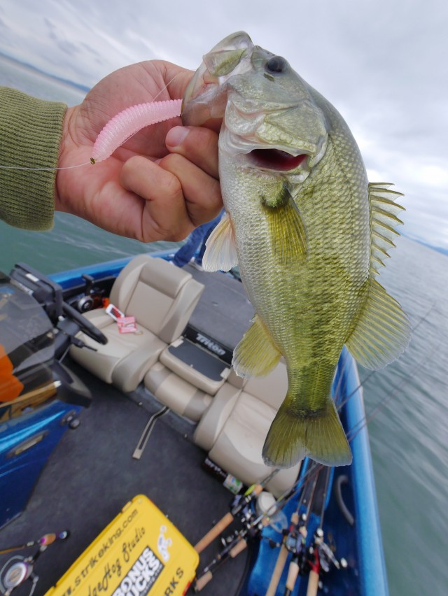 truth hiramura ブログ写真 2016/09/22