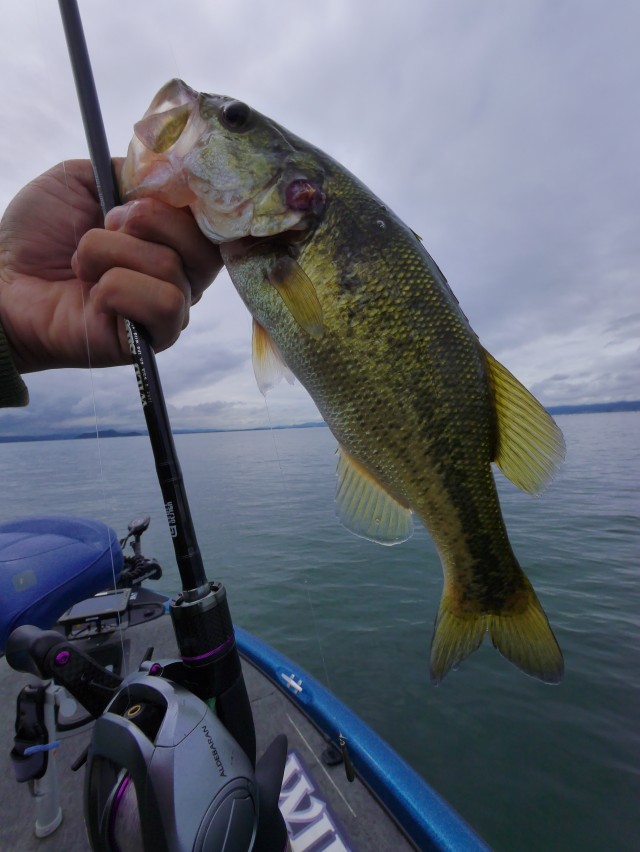 truth hiramura ブログ写真 2016/09/22