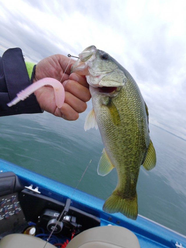 truth hiramura ブログ写真 2016/09/23