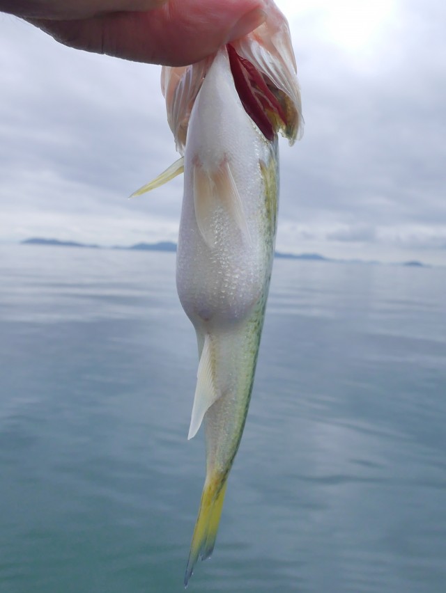 truth hiramura ブログ写真 2016/09/23