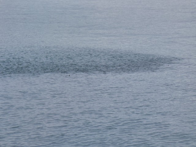 truth hiramura ブログ写真 2016/09/23