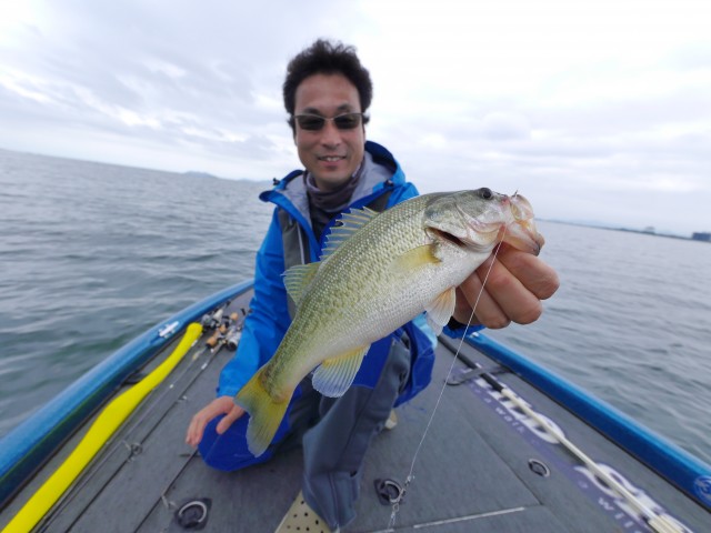 truth hiramura ブログ写真 2016/09/25