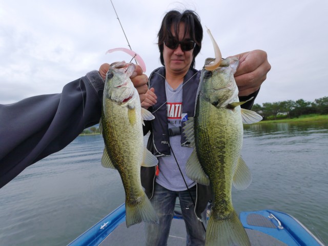 truth hiramura ブログ写真 2016/09/26