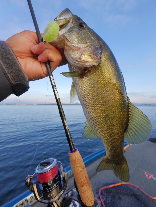 truth hiramura ブログ写真 2016/09/26