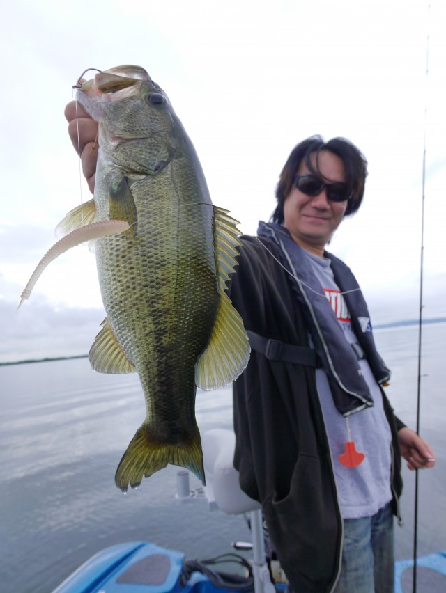 truth hiramura ブログ写真 2016/09/26