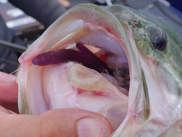 truth hiramura ブログ写真 2016/10/02