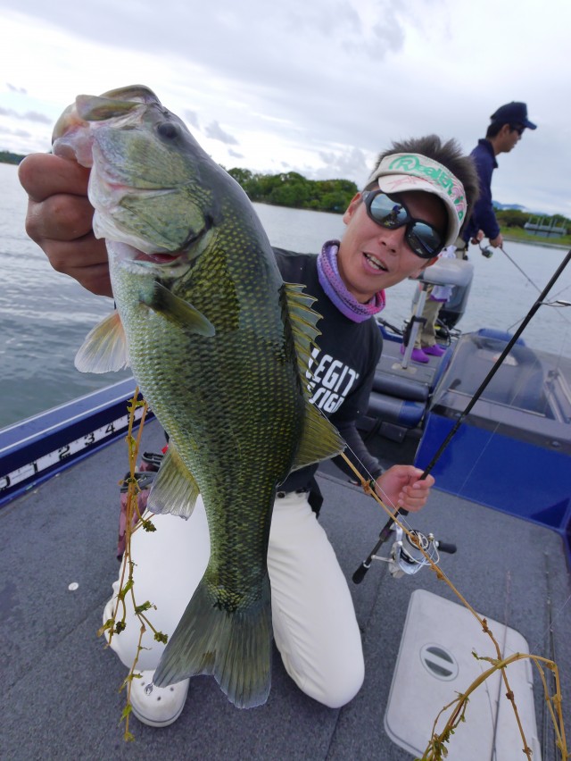 truth hiramura ブログ写真 2016/10/02