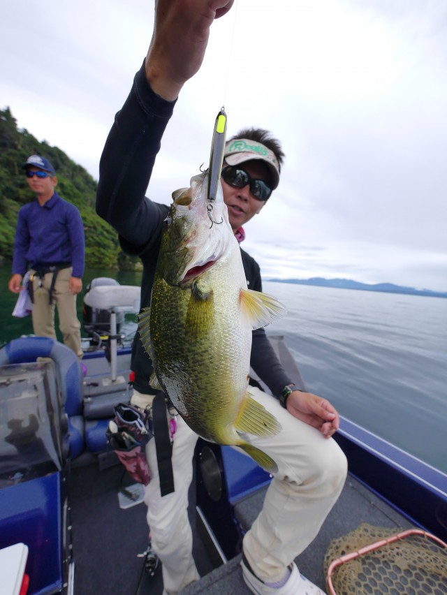 truth hiramura ブログ写真 2016/10/02