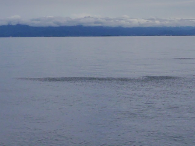 truth hiramura ブログ写真 2016/10/02