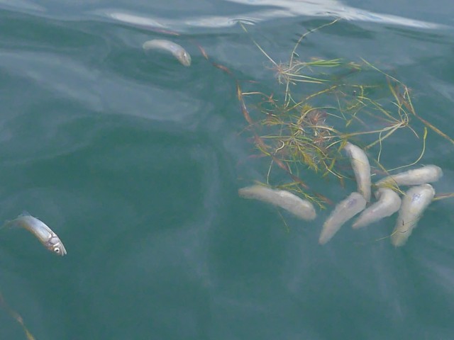 truth hiramura ブログ写真 2016/10/02